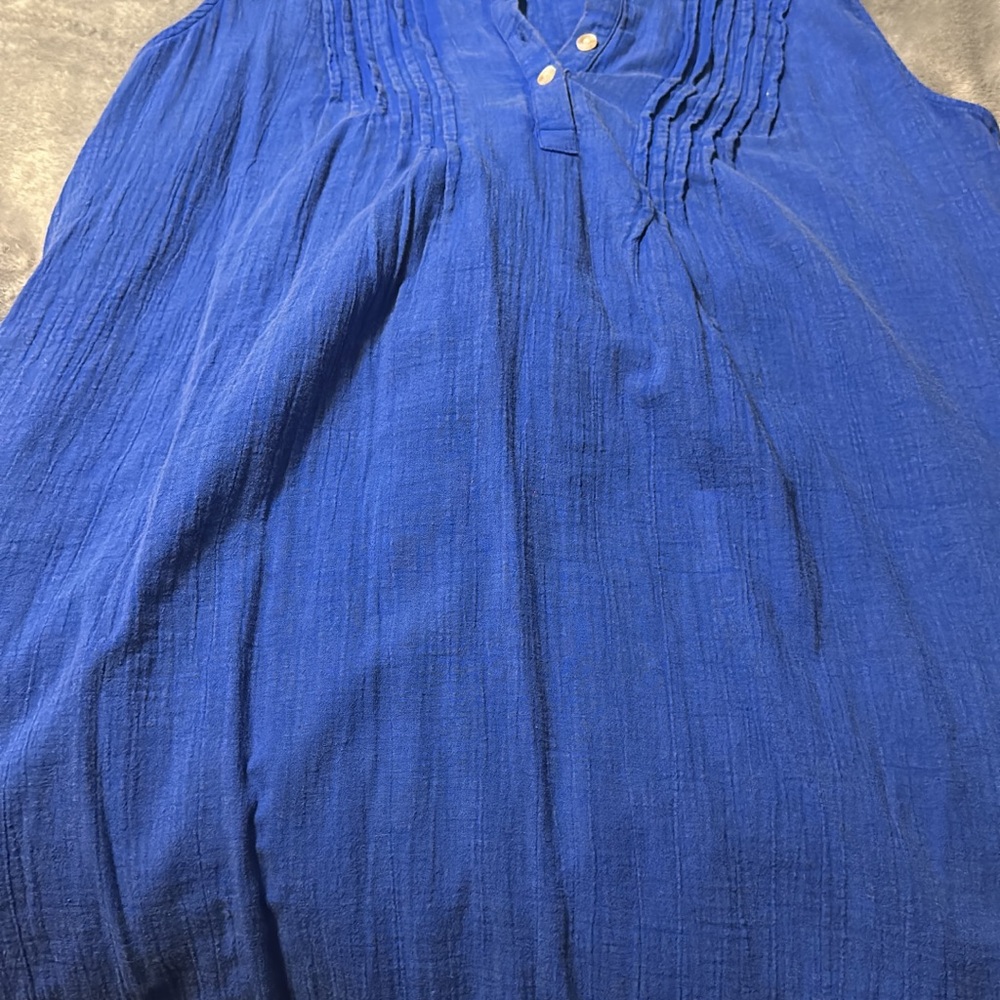 Wonderly Blue Sleeveless Dress-thicker for fall/winter.